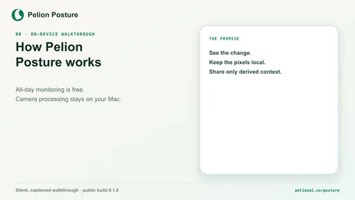 Preview of the Pelion Posture on-device walkthrough